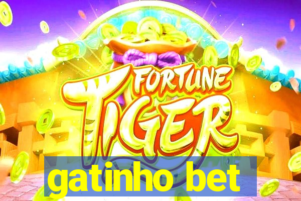 gatinho bet